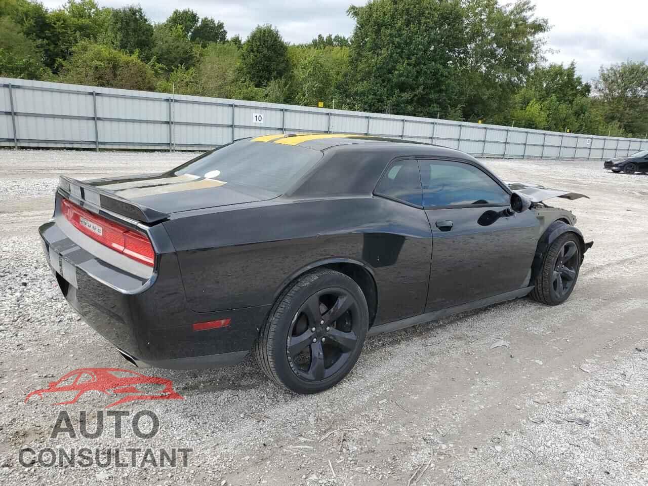 DODGE CHALLENGER 2013 - 2C3CDYAG8DH511604