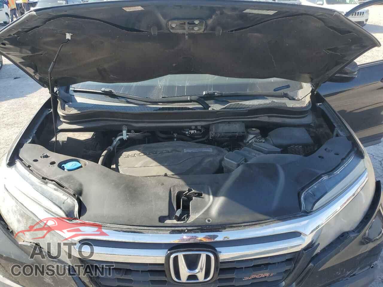 HONDA RIDGELINE 2019 - 5FPYK3F15KB007357