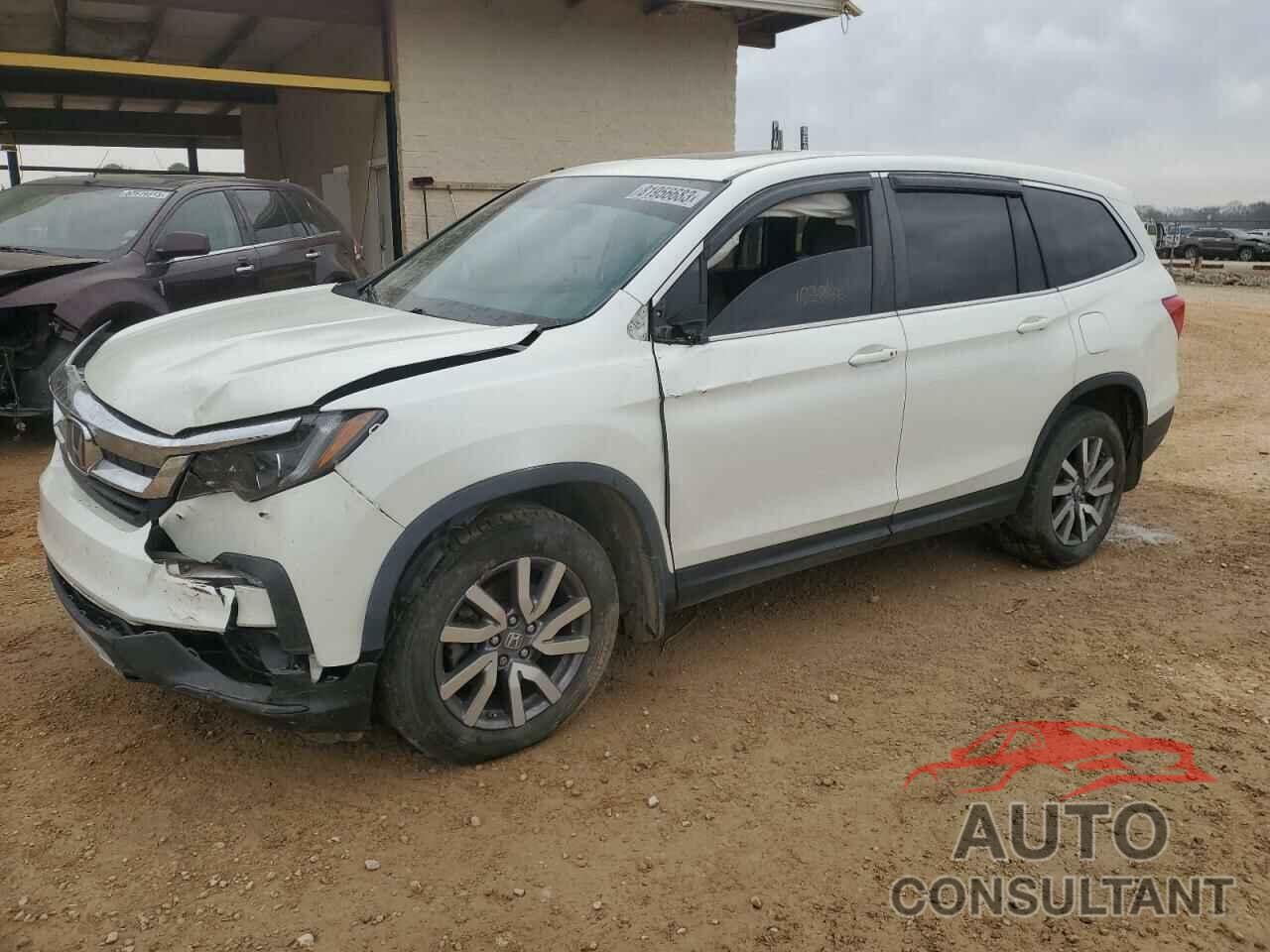 HONDA PILOT 2019 - 5FNYF6H42KB033212