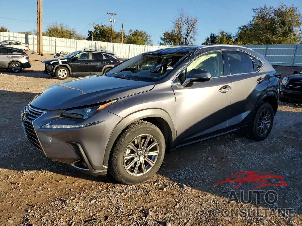 LEXUS NX 2019 - JTJYARBZ2K2124954