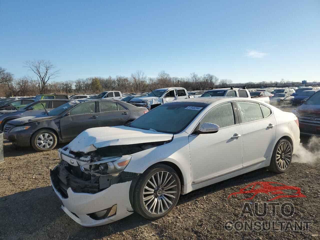 KIA CADENZA 2014 - KNALN4D79E5129441