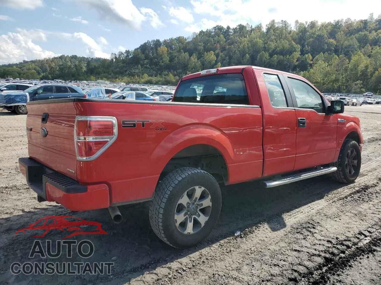FORD F-150 2013 - 1FTFX1EF2DFD98517