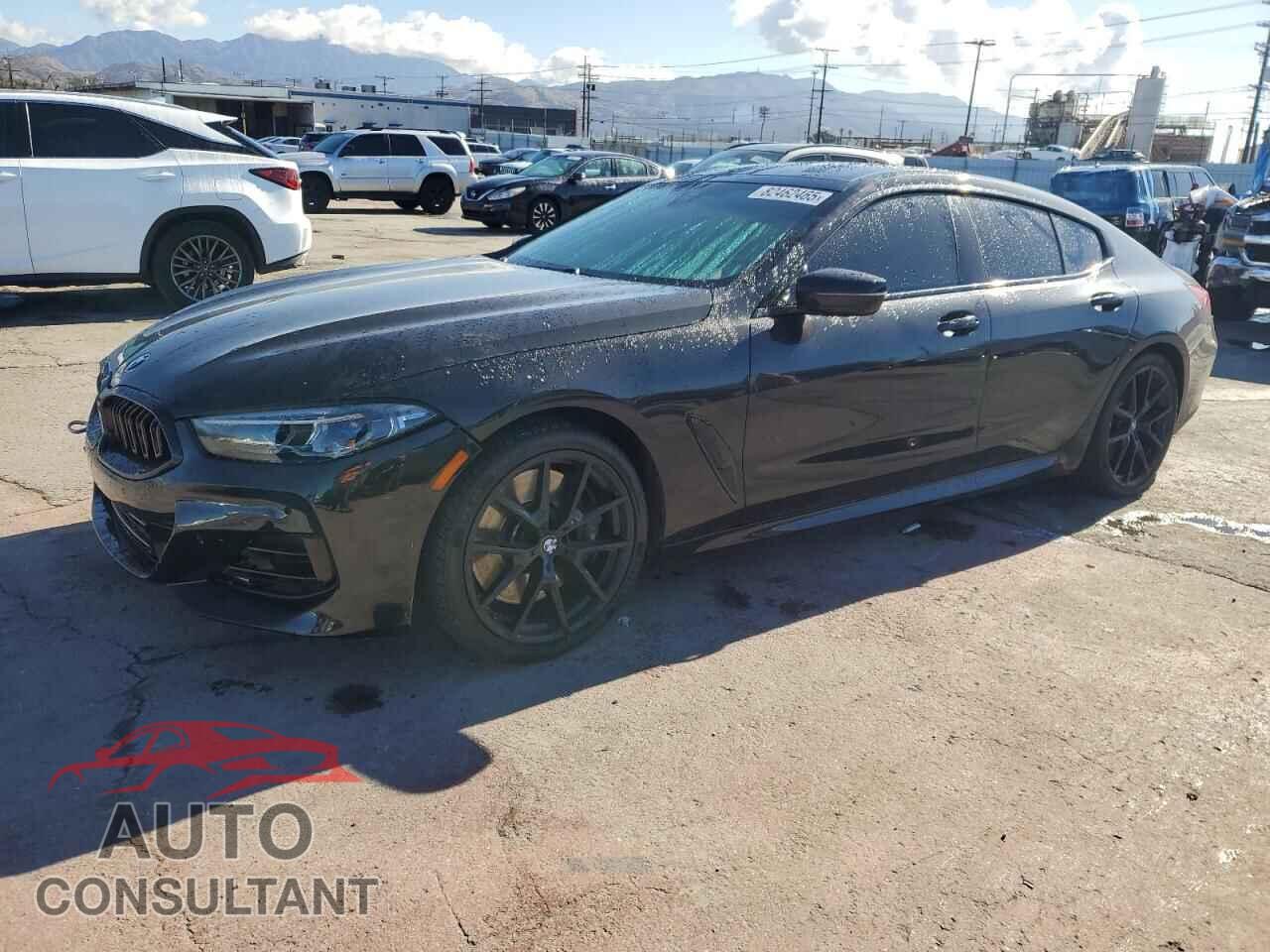 BMW 8 SERIES 2024 - WBAGV2C07RCN06456