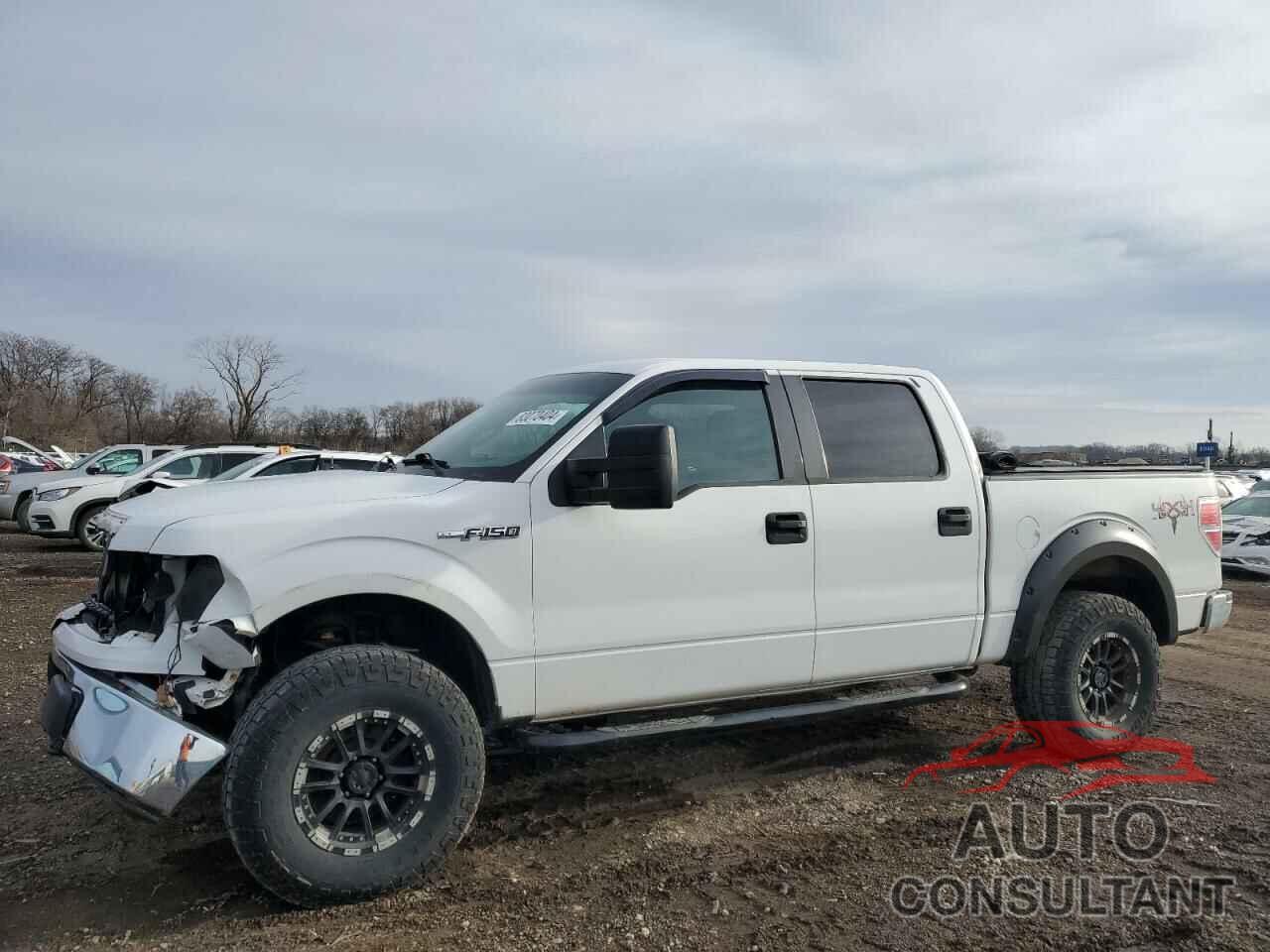 FORD F-150 2013 - 1FTFW1EF4DFD28293