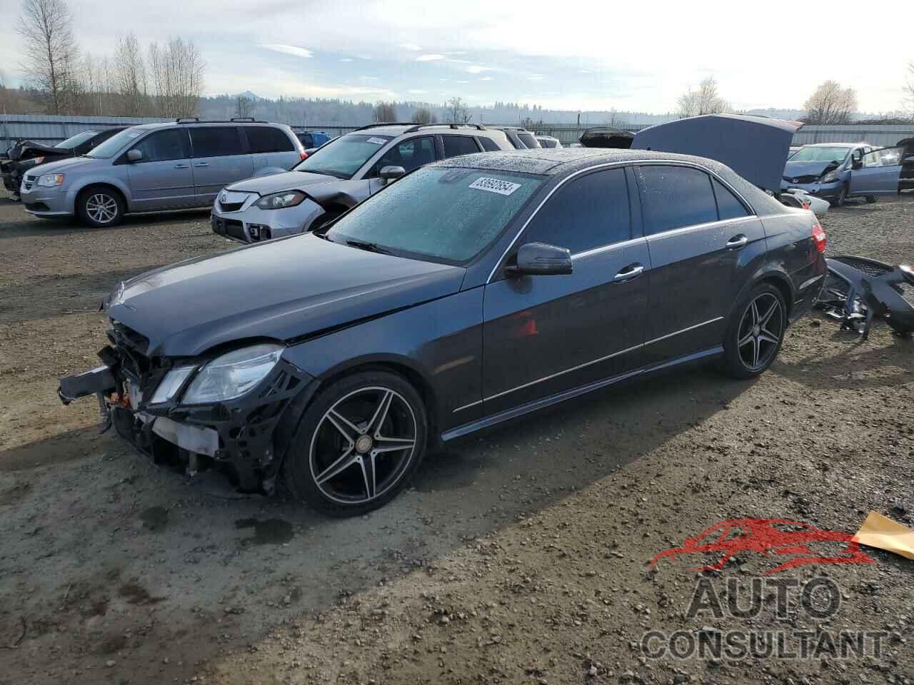 MERCEDES-BENZ E-CLASS 2010 - WDDHF8HB3AA122052