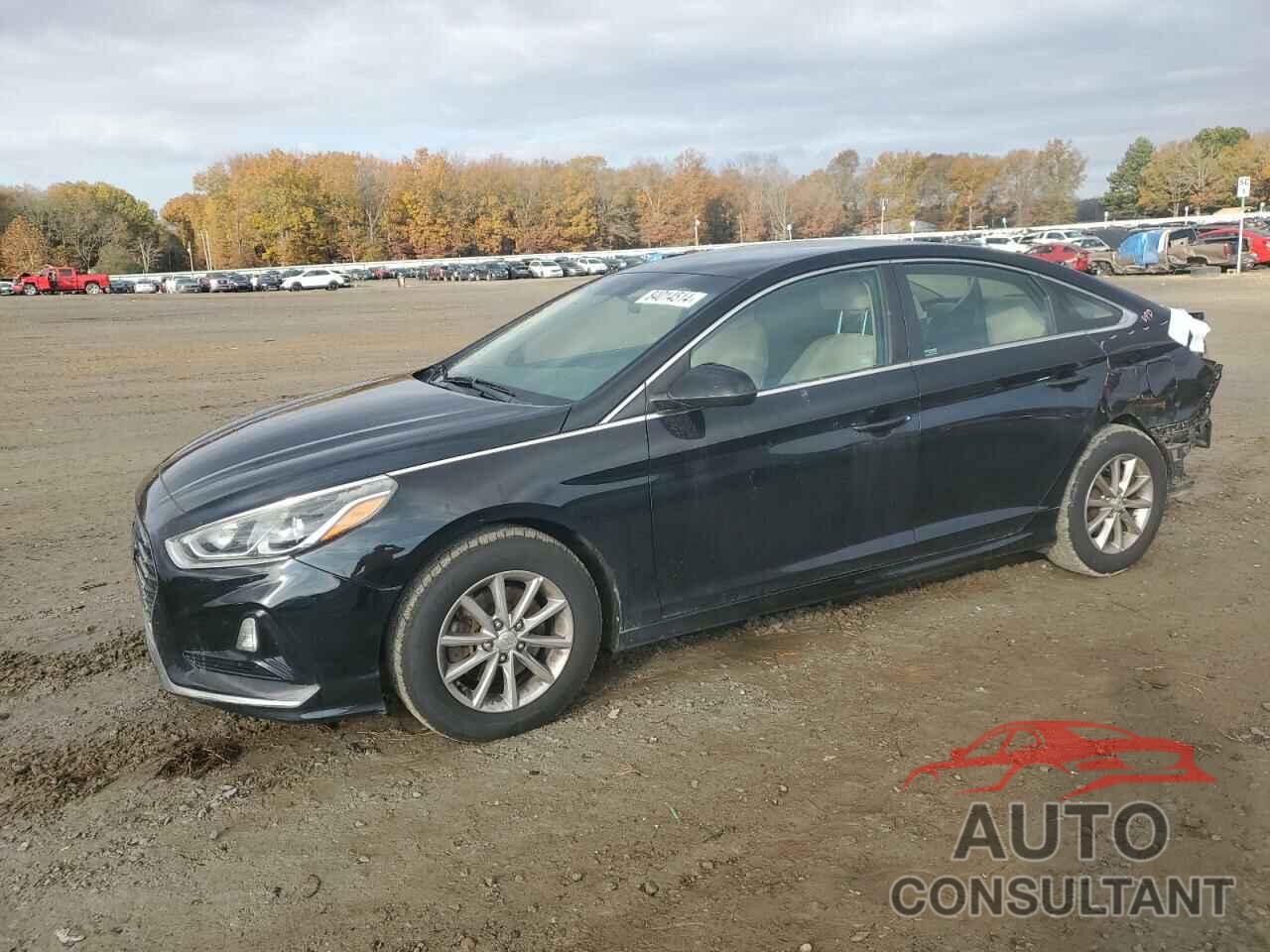 HYUNDAI SONATA 2018 - 5NPE24AF3JH621523