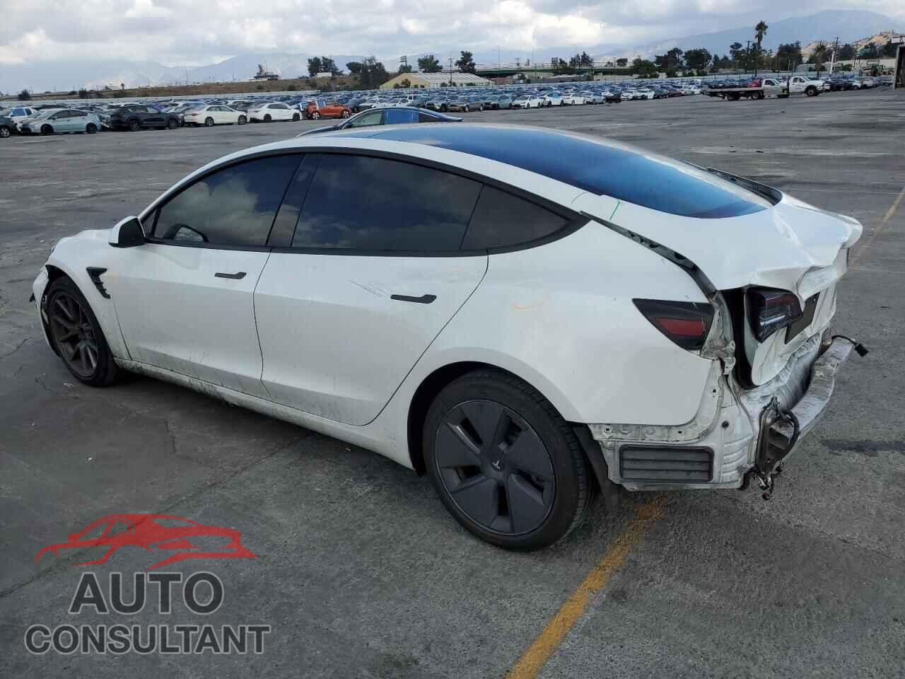 TESLA MODEL 3 2021 - 5YJ3E1EA2MF941480