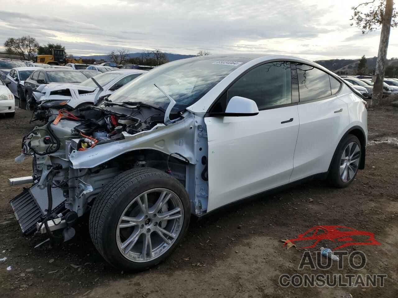 TESLA MODEL Y 2023 - 7SAYGDEE5PF813889