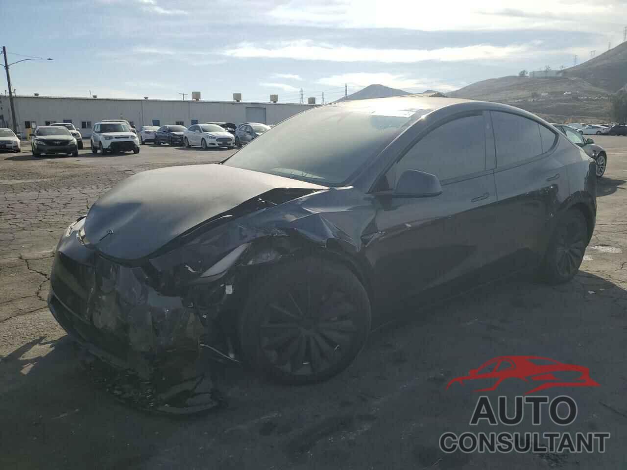 TESLA MODEL Y 2024 - 7SAYGDED2RF056105