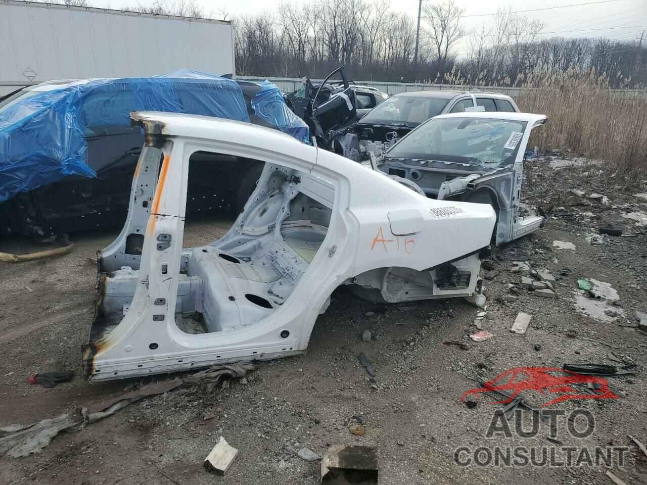 DODGE CHARGER 2019 - 2C3CDXGJ3KH576645