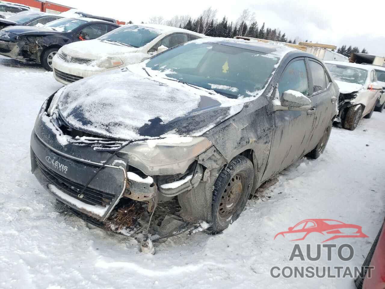 TOYOTA COROLLA 2015 - 2T1BURHE9FC243466