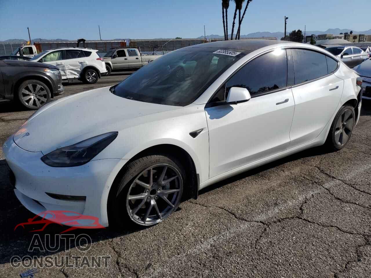 TESLA MODEL 3 2021 - 5YJ3E1EA8MF066681