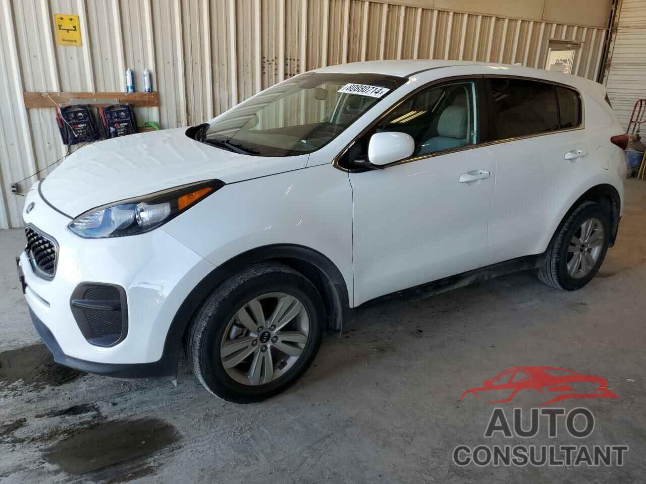 KIA SPORTAGE 2019 - KNDPM3AC6K7618284