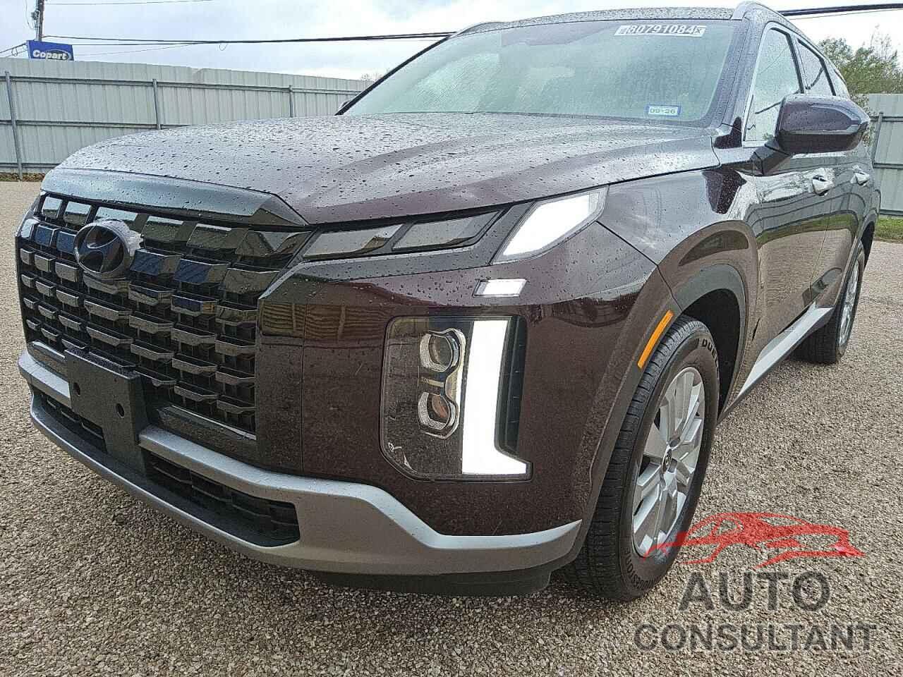 HYUNDAI PALISADE 2025 - KM8R2DGE3SU847354