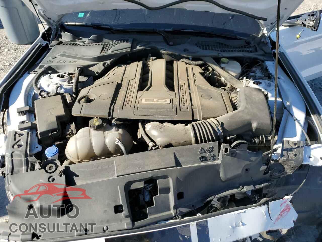 FORD MUSTANG 2021 - 1FA6P8CF3M5116487