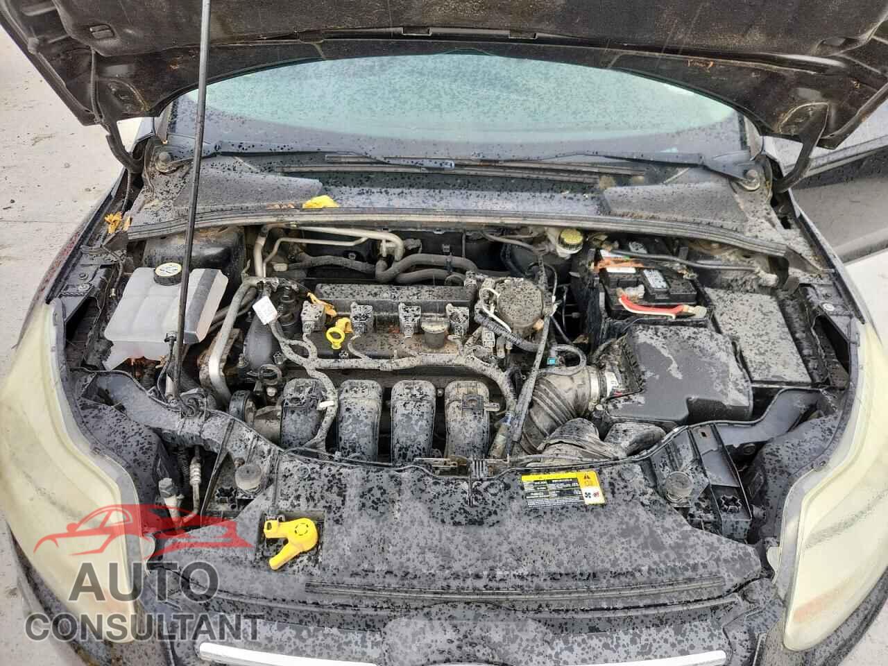 FORD FOCUS 2012 - 1FAHP3F2XCL157407