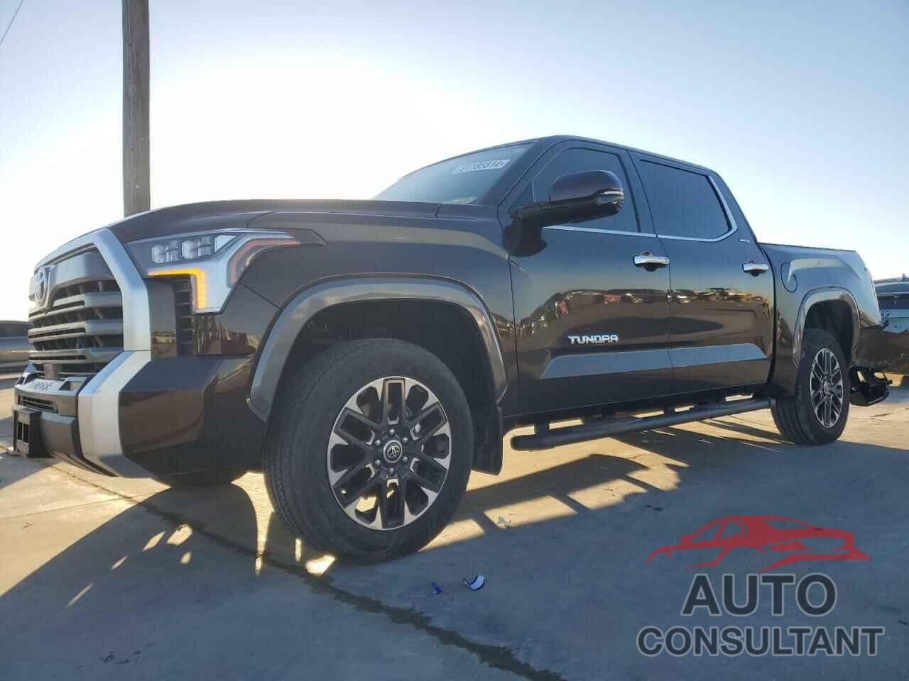TOYOTA TUNDRA 2024 - 5TFJA5DB4RX202175