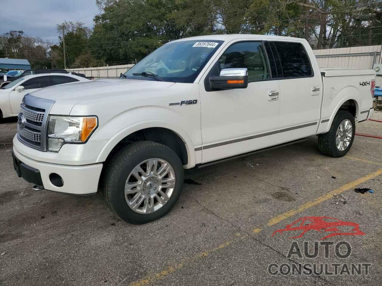 FORD F-150 2010 - 1FTFW1EV9AFD39325