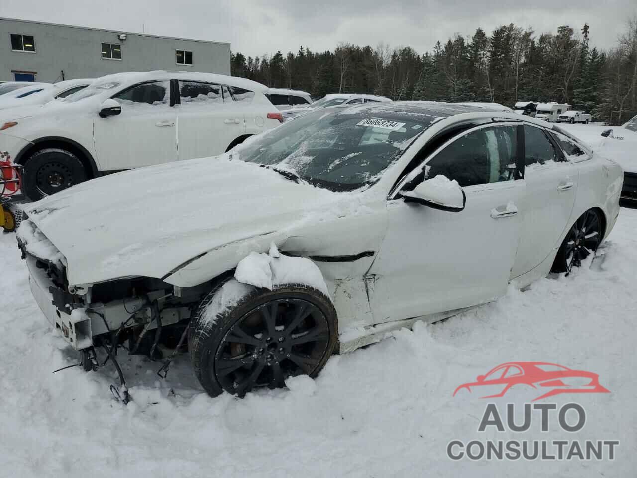 JAGUAR XJ 2015 - SAJXJ1CD0F8V88669