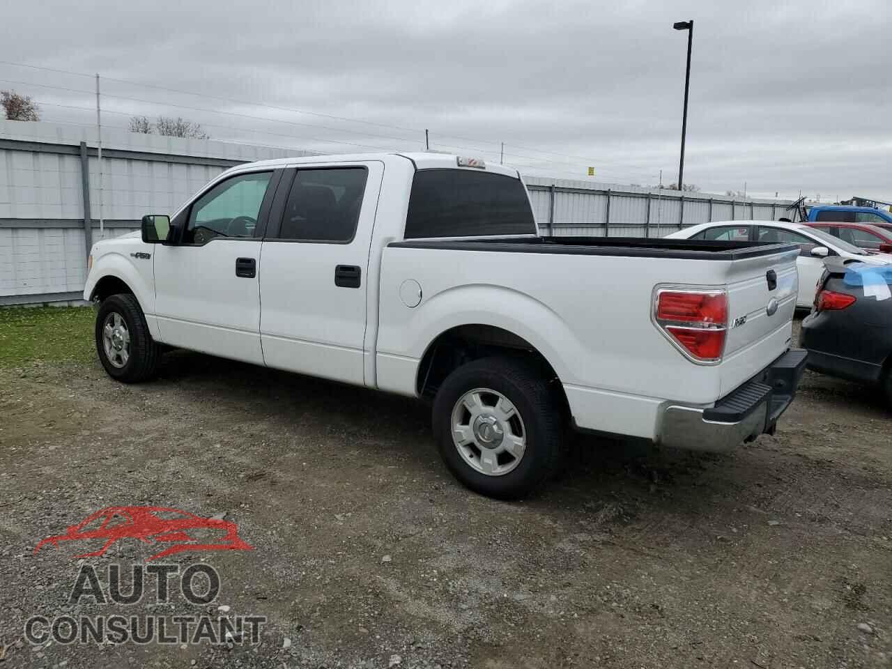 FORD F-150 2012 - 1FTEW1CM8CFB25810