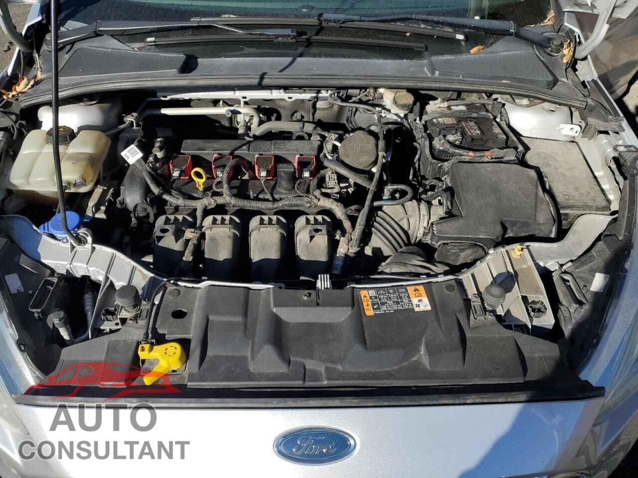 FORD FOCUS 2016 - 1FADP3K28GL282951