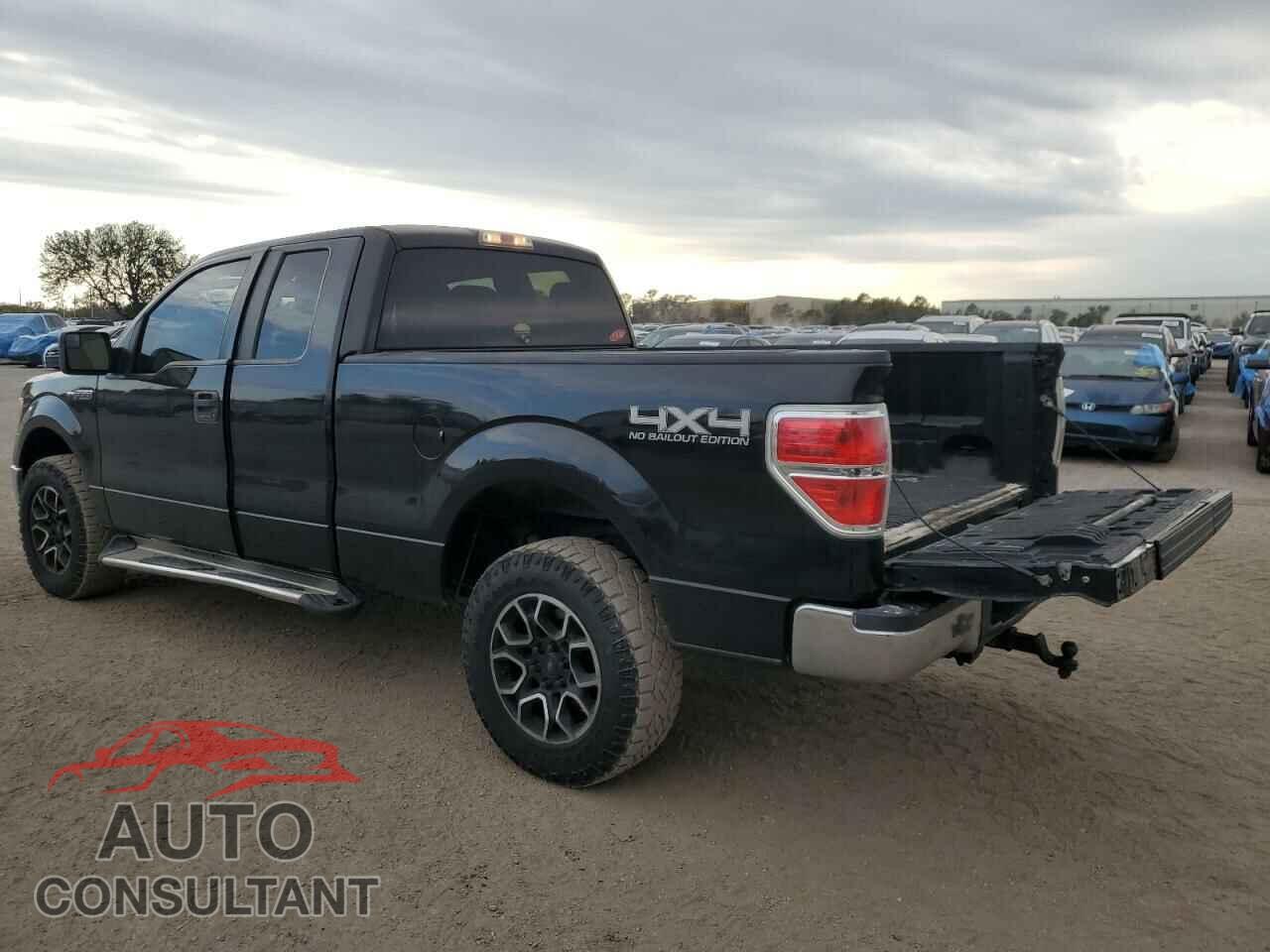 FORD F-150 2014 - 1FTFX1EF4EFA59372