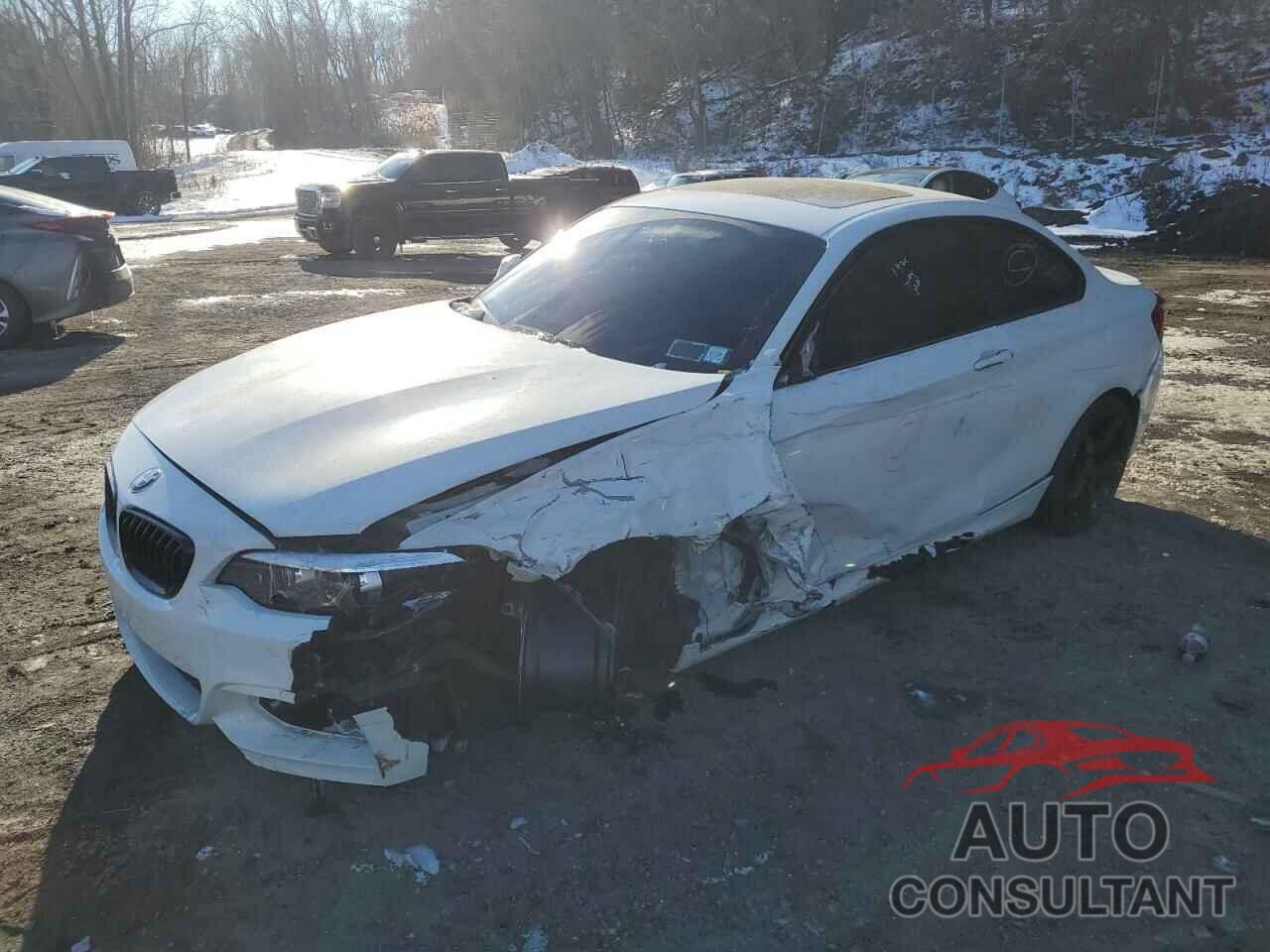 BMW 2 SERIES 2020 - WBA2J3C03L7E78623
