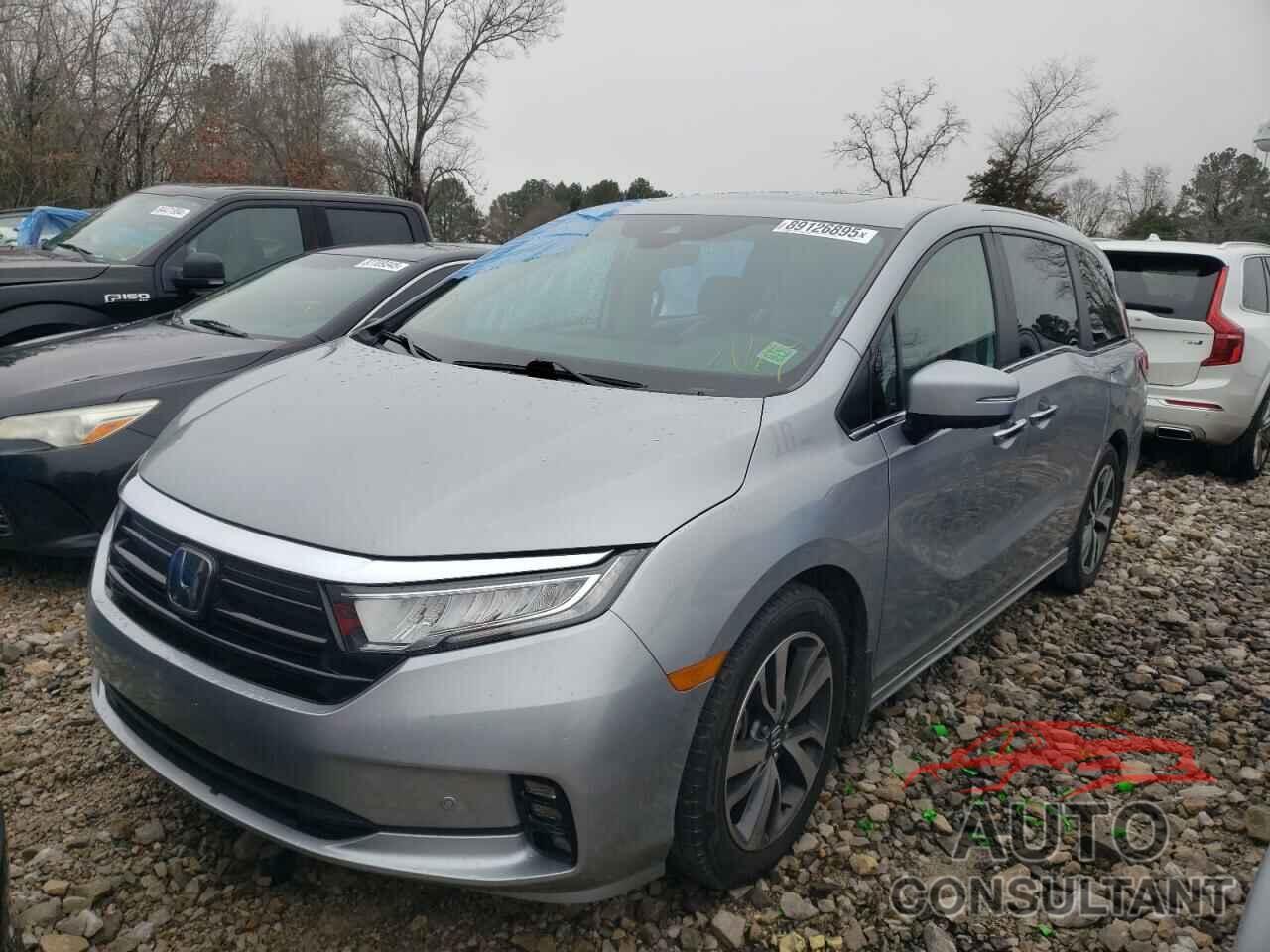 HONDA ODYSSEY 2024 - 5FNRL6H87RB008073