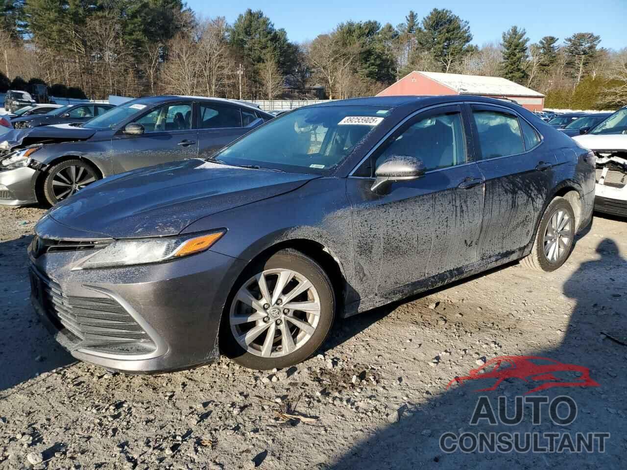 TOYOTA CAMRY 2024 - 4T1C11BK5RU119436