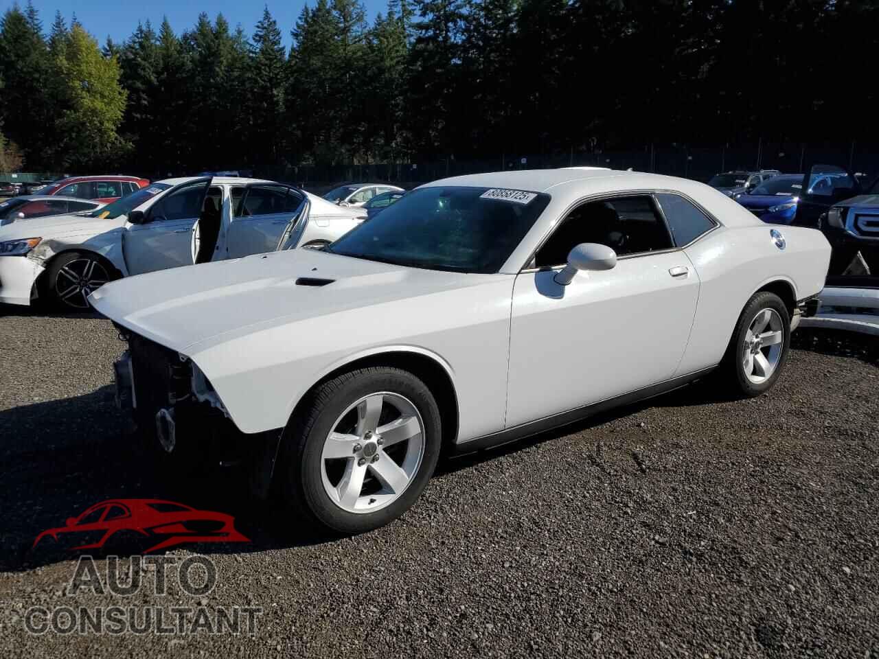 DODGE CHALLENGER 2012 - 2C3CDYAG9CH121366