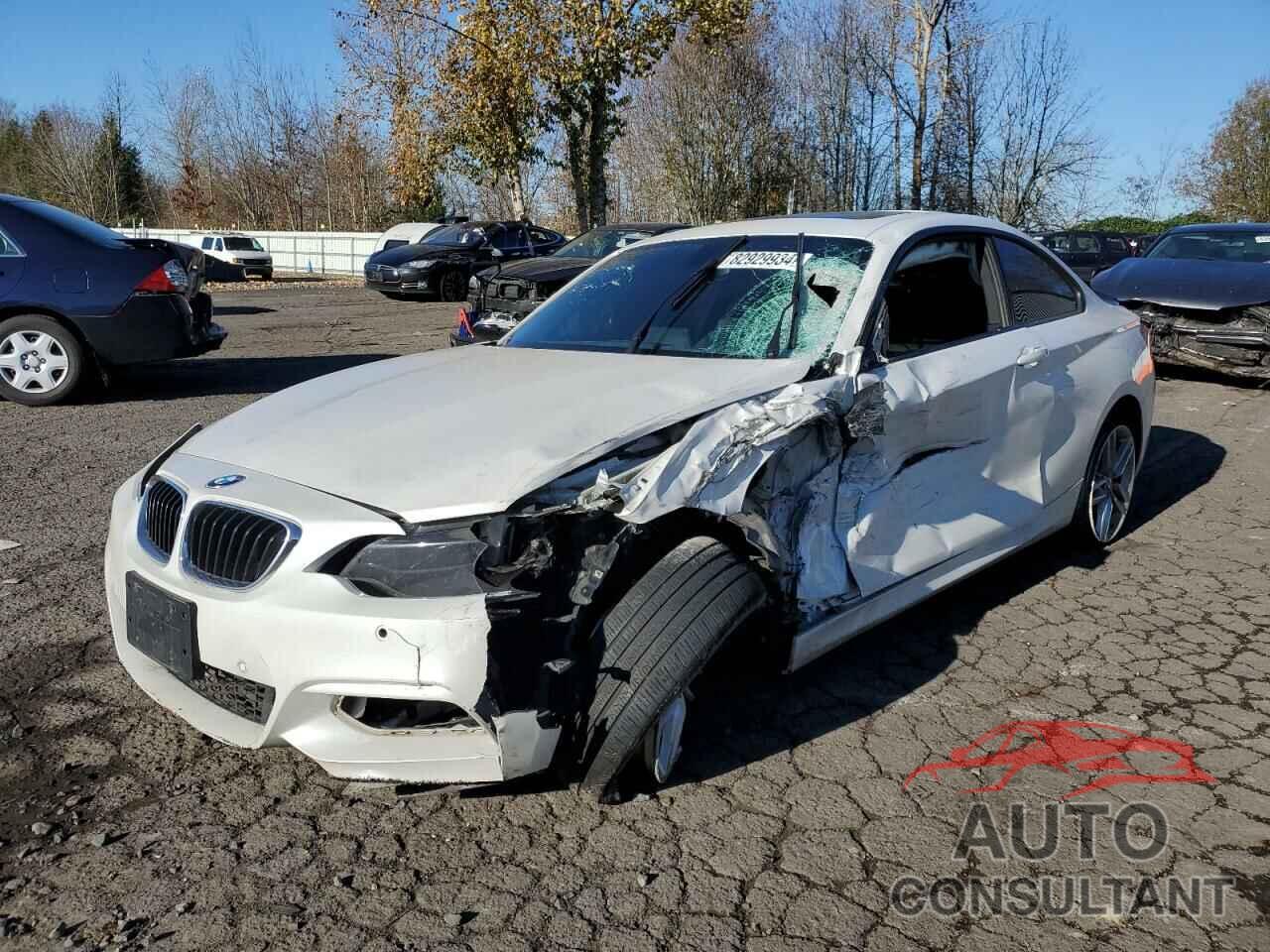 BMW 2 SERIES 2016 - WBA1F9C50GV545124