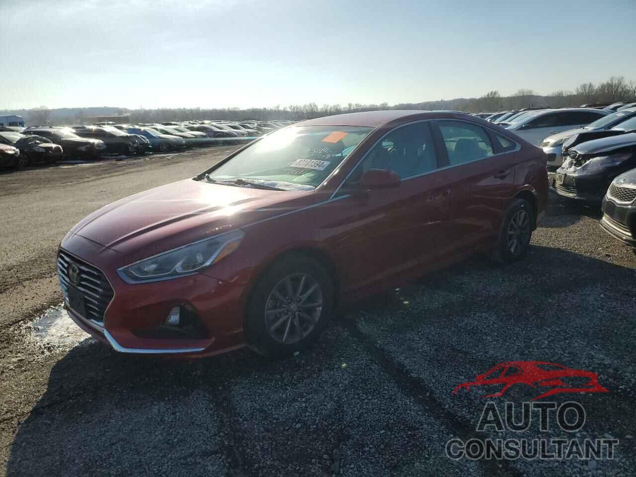 HYUNDAI SONATA 2019 - 5NPE24AF4KH799457