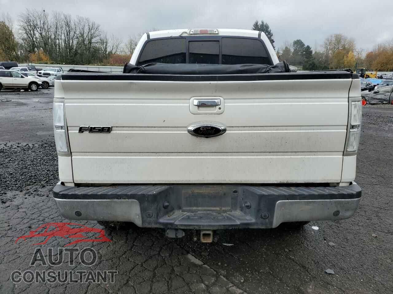 FORD F-150 2011 - 1FTFW1ET4BFD15045