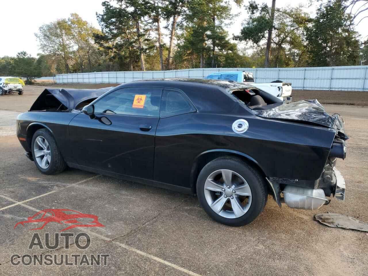 DODGE CHALLENGER 2019 - 2C3CDZAG1KH746672