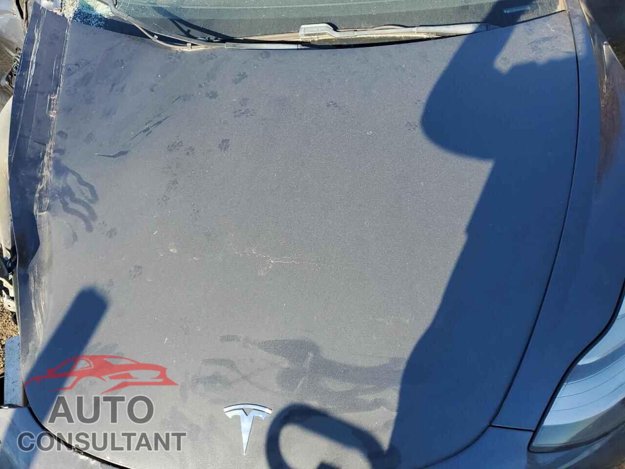 TESLA MODEL 3 2019 - 5YJ3E1EB2KF452101