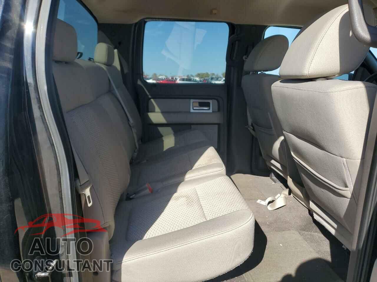 FORD F-150 2009 - 1FTRW12839FB47244
