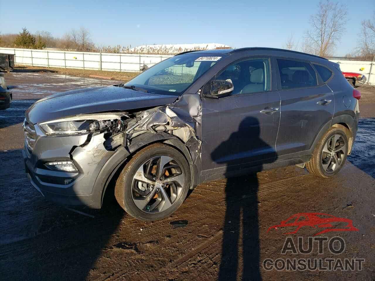 HYUNDAI TUCSON 2016 - KM8J3CA26GU117366