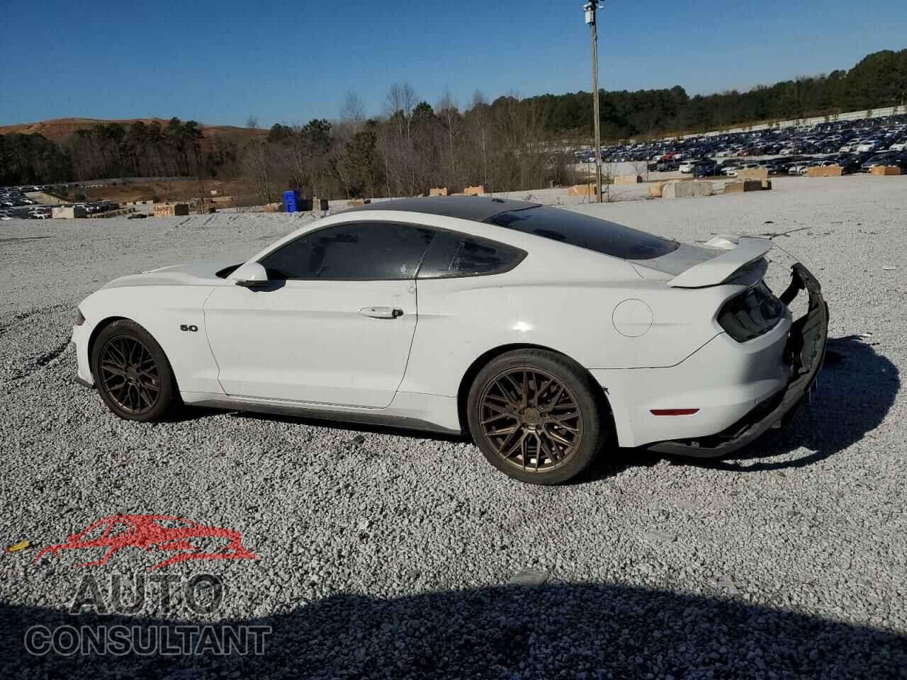 FORD MUSTANG 2019 - 1FA6P8CF3K5116633