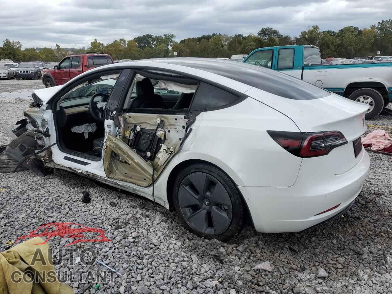 TESLA MODEL 3 2021 - 5YJ3E1EA3MF929810