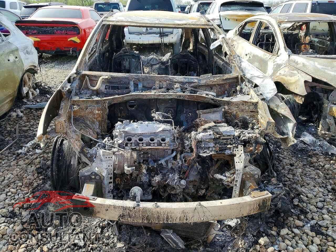 KIA UNKNOWN 2019 - KNDCM3LD8K5289068