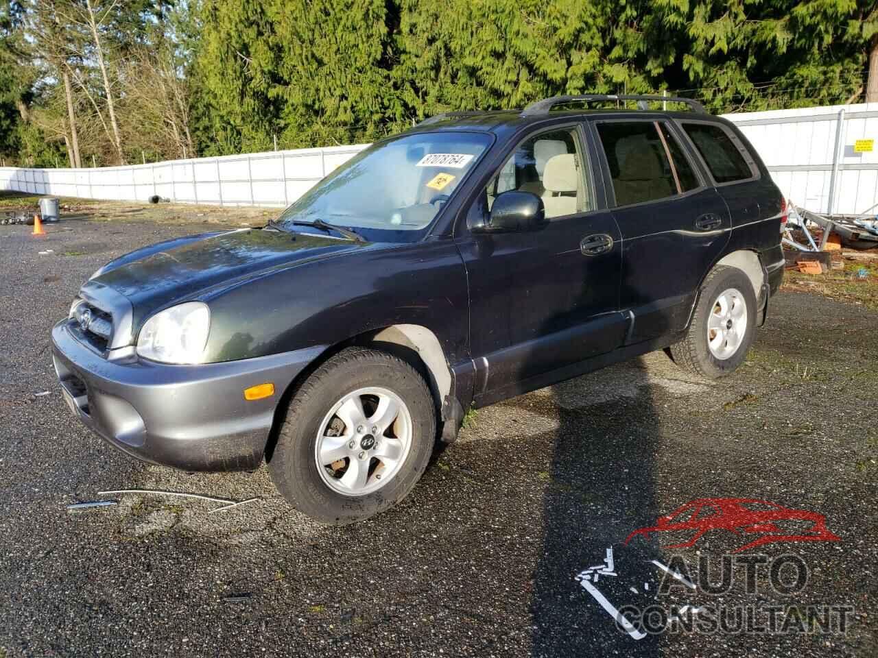 HYUNDAI SANTA FE 2006 - KM8SC13DX6U112533