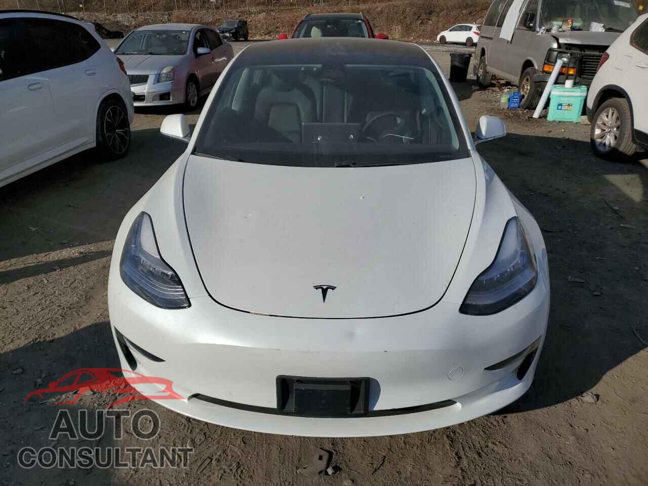 TESLA MODEL 3 2019 - 5YJ3E1EA0KF484276