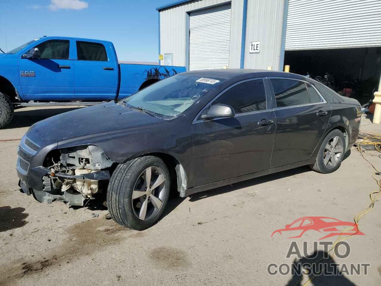 CHEVROLET MALIBU 2011 - 1G1ZA5EU5BF344381