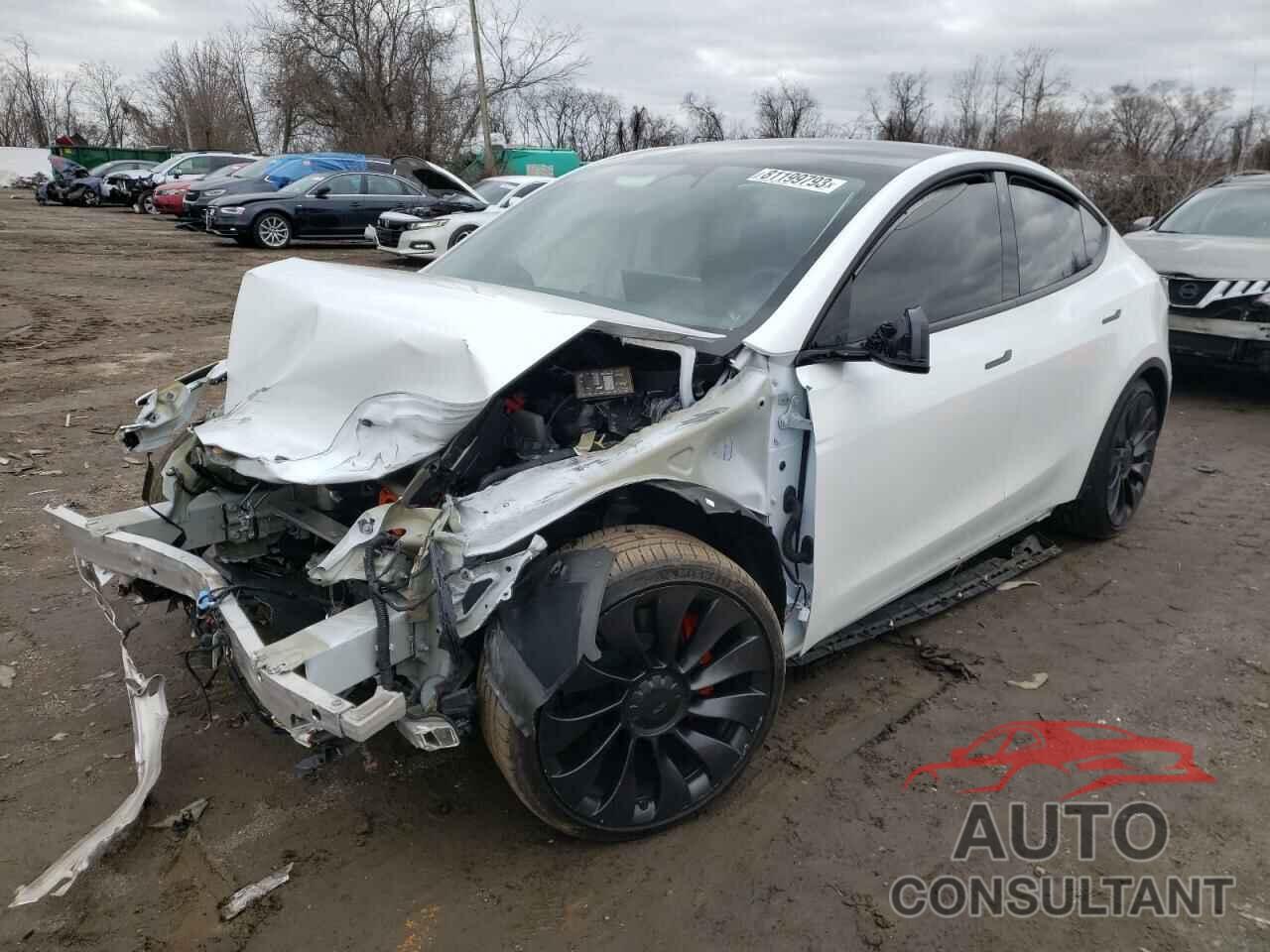 TESLA MODEL Y 2023 - 7SAYGDEF5PF701151