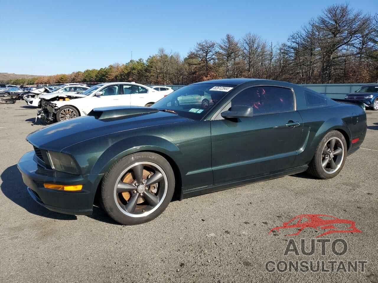 FORD MUSTANG 2009 - 1ZVHT82HX95119599