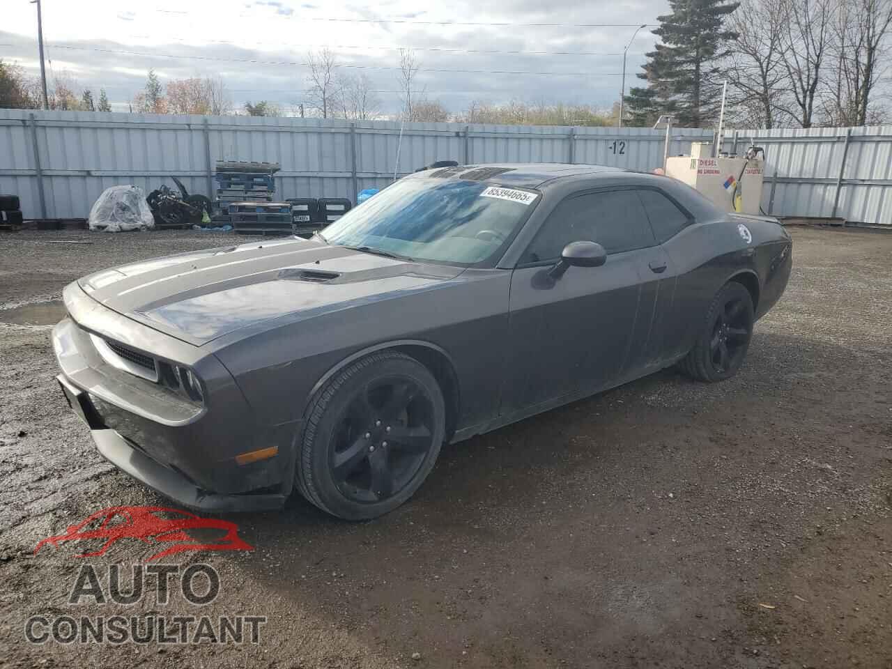 DODGE CHALLENGER 2014 - 2C3CDYAG1EH224848