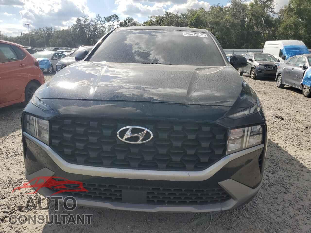 HYUNDAI SANTA FE 2023 - 5NMS14AJ0PH620765