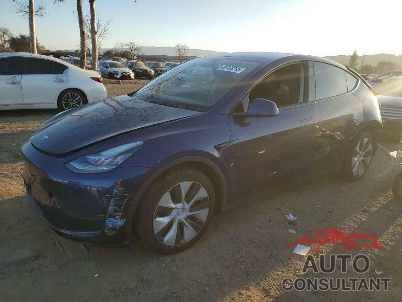 TESLA MODEL Y 2021 - 5YJYGDEE9MF083929