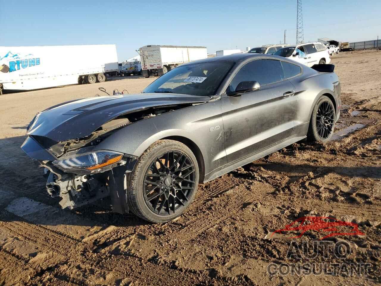 FORD MUSTANG 2019 - 1FA6P8CF3K5134145