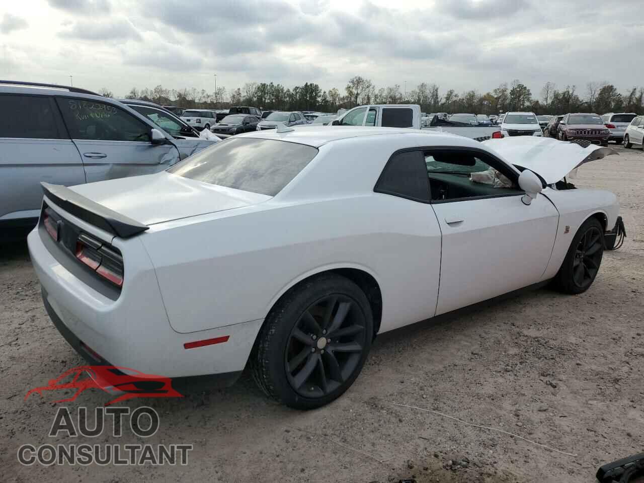 DODGE CHALLENGER 2019 - 2C3CDZFJ5KH719141